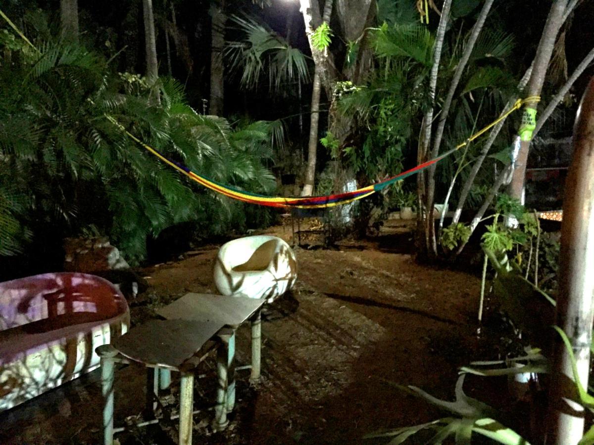 Villa Palmitas Acogedor Departamento Nivel Piscina Gigante Jardines Acapulco Bagian luar foto
